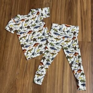 Bums & Roses Toddler Boys 2T Bamboo Dino Dinosaur 2pc Pajamas Shirt Pants EUC